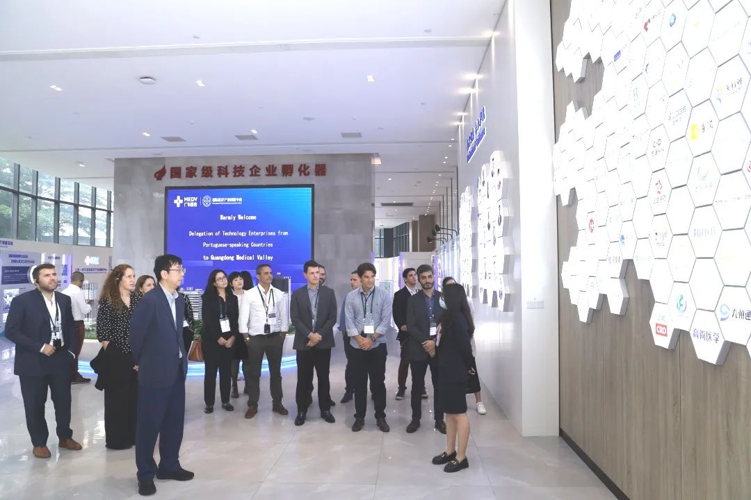 640 (8).jpg undefined